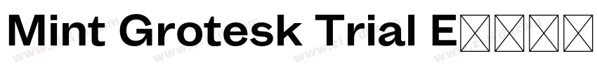 Mint Grotesk Trial E字体转换